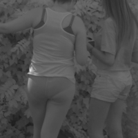 X-ray panties