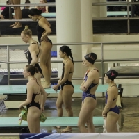 College swimmers