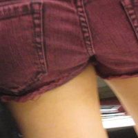 Various girls in shorts