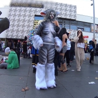Sexy cosplay girl dressed as a cat
