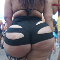 Monolithic BBW dream