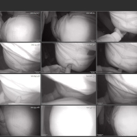 Screenshots from the Deadpit 2026 torrent GropeAss754.mp4.jpg