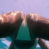 Underwater cam 1