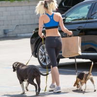 Miley Cyrus sexy in leggings with a nice ass while walking her dogs Miley Cyrus in leggings with her dogs