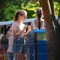 Dump of a bunch of sexy candid girls with nice asses in shorts 2297921@N20_42505728945_20180713 750_5403 LEGOLAND DK.jpg