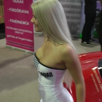 Car show hottie