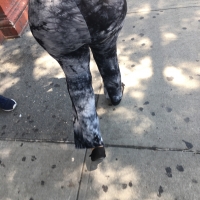 Ebony sexy girls in leggings tumblr_c92e699d084ee455362fe2b6ebbc4b58_deb59534_2048.jpg