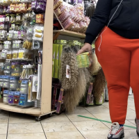 Sexy candid ebony babes in tight jeans and pants tumblr_846e3145b9ea5b1b581215bd0ed5aad5_b0a9add8_1280.png