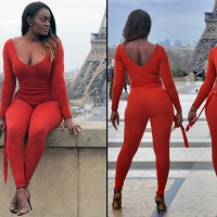 3096572@N22_46935658591_A-side, B-side and profile of sexy black beauty.jpg