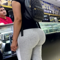 Mixed breed donk