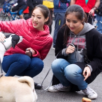 Couple of Asian girls in jeans playing with a dog Couple Asian girls in jeans