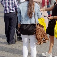 Various candid beautiful women in different outfits in public 98482383@N03_48703849902_White Jeans, Blue Jacket 1.jpg