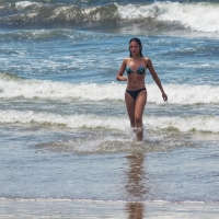 2297921@N20_50108913002_Sirena.jpg