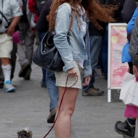 98482383@N03_15252642547_Great Hair and a Small Dog 1.jpg