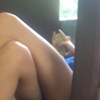 Collection of candid sexy girls in public in shorts tumblr_pejyt5ckfJ1txx8c3_640.jpg