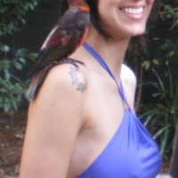 69090843.jpg
