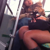 Sexy candid legs