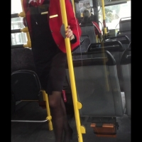 Sexy flight attendant