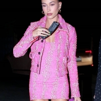 Hailey Bieber having a night out in a pink skirt in West Hollywood 34.jpg