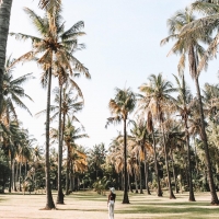 Sexy Indonesian babe Putri Cinta Instagram rip putriwithlove - BiZZ7yMFu7a.jpg