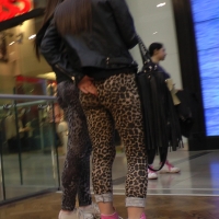 Two leopard print booties