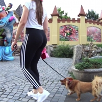 Sexy dog walker in leggings