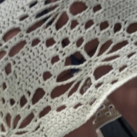 See through skirt