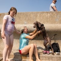 Candid beautiful and sexy girls candidstreet_28706349757_Puppy School Went Well.jpg