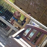 Two hot candid waterpark girls caught walking up the slide stairs Screenshot_20170817-211418.jpg
