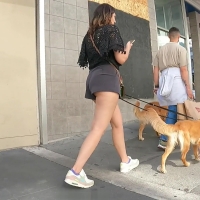 Cheeky dog walker