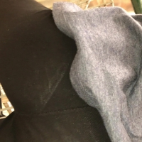 Asian in see through leggings