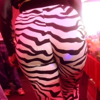 Zebra ass