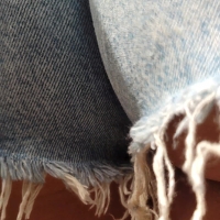 Denim shorts close up