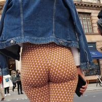 Firm round ass
