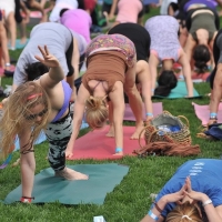 DavidBell999 - yoga - 0061img-0728.jpg