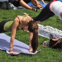 DavidBell999 - yoga - 00019024865295-a8c42c7bed-b.jpg