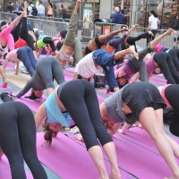 DavidBell999 - yoga - 00169105403628-20c366eedd-b.jpg