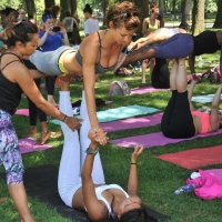 Bunch of sexy girls doing yoga in leggings and sports bras DavidBell999 - yoga - 00269239093093-4961966aa9-b.jpg