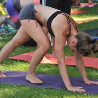 Bunch of sexy girls doing yoga in leggings and sports bras DavidBell999 - yoga - 00259236414103-e3b99491fa-b.jpg