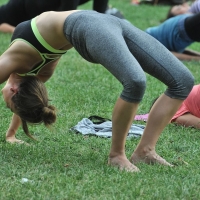 Bunch of sexy girls doing yoga in leggings and sports bras DavidBell999 - yoga - 00299326288105-e29f157709-b.jpg
