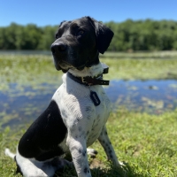 3024x4032_406b3ce213e49cdf5fbd03574d409622.jpg