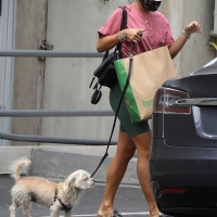 Vanessa Hudgens out with her dog in Hollywood in green spandex shorts 15.jpg