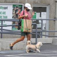 Vanessa Hudgens out with her dog in Hollywood in green spandex shorts 16.jpg