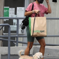 Vanessa Hudgens out with her dog in Hollywood in green spandex shorts 14.jpg
