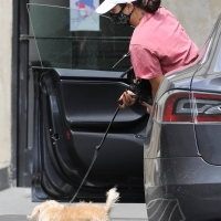 Vanessa Hudgens out with her dog in Hollywood in green spandex shorts 12.jpg