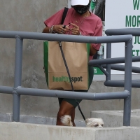 Vanessa Hudgens out with her dog in Hollywood in green spandex shorts 13.jpg