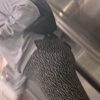 65695618.jpg