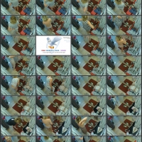 2.mp4.jpg