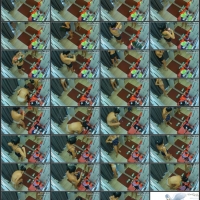 1.mp4.jpg