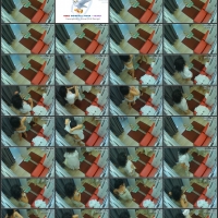 8.mp4.jpg